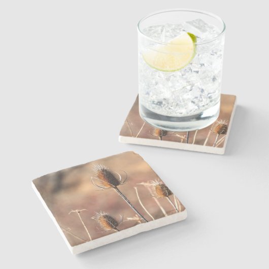 Gewoon Thistle Stenen Onderzetter (Zijkant)