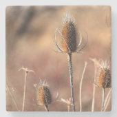 Gewoon Thistle Stenen Onderzetter (Voorkant)