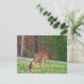 Gewoon verloren spots, Baby Deer Briefkaart (Staand voorkant)