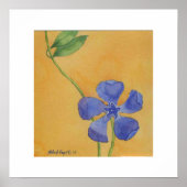 Gewoon Vinca Poster (Voorkant)