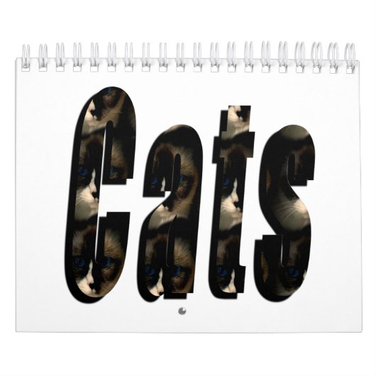 Gewoon voor de liefde van katten, kalender (Hoes)