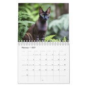 Gewoon voor de liefde van katten, kalender (Feb 2027)