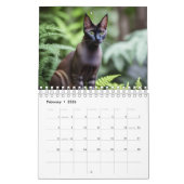Gewoon voor de liefde van katten, kalender (Feb 2026)