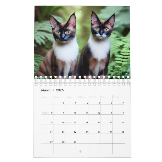 Gewoon voor de liefde van katten, kalender (Mar 2026)