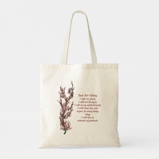 Gewoon voor vandaag Inspirerend gebeden Tote Bag (Achterkant)