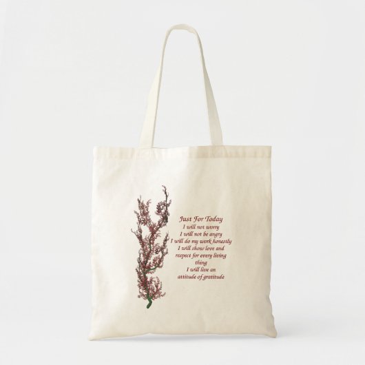 Gewoon voor vandaag Inspirerend gebeden Tote Bag (Voorkant)