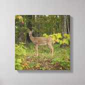 Gewoon wachten canvas afdruk (Voorkant)