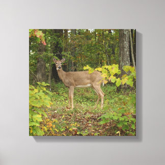 Gewoon wachten canvas afdruk