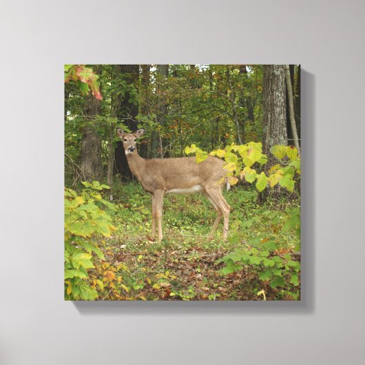 Gewoon wachten canvas afdruk (Voorkant)