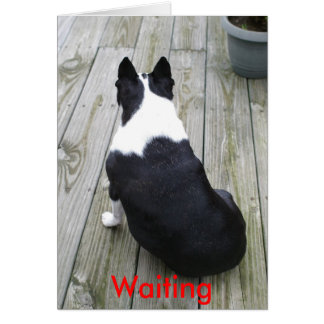 Gewoon wachten... wachten