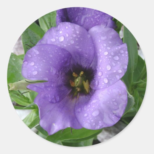 Gewoon water geven ronde sticker (Voorkant)