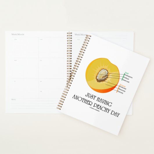 Gewoon weer een peachy day perzik anatomie planner (Display)