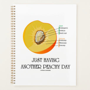 Gewoon weer een peachy day perzik anatomie planner