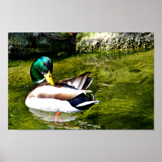 Gewoon Wondering_ Poster (Voorkant)