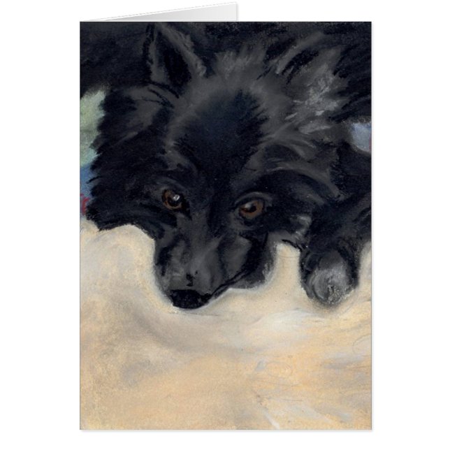 Gewoon zoet (Voorkant)