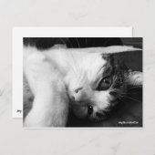 Gewoon zwart-wit Briefkaart (Voorkant / Achterkant)