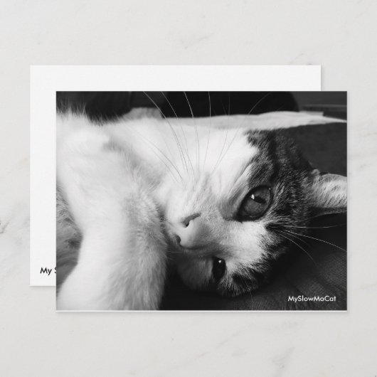 Gewoon zwart-wit Briefkaart (Voorkant / Achterkant)