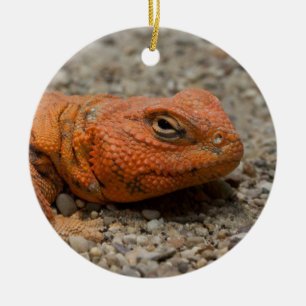 Geyri van Uromastyx Keramisch Ornament