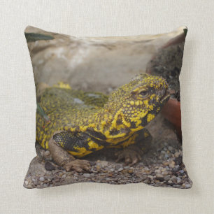 Geyri van Uromastyx Kussen