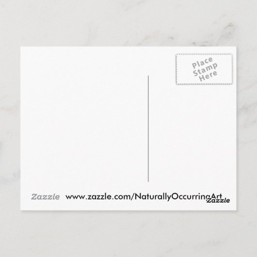 Geyser about to erupt briefkaart (Achterkant)