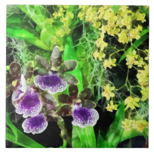 Geyser Jamie en Golden Fantasy Orchids Tegeltje