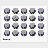 GEZAMENLIJKE TASK FORCE 6 RONDE STICKER (Vel)