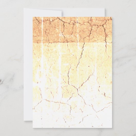 Gezamenlijke uitnodiging (Achterkant)