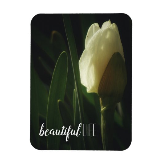 Gezegde Daffodil-foto Magneet (Verticaal)