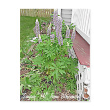 Gezegde Hi uit Wisconsin