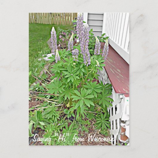 Gezegde Hi uit Wisconsin Briefkaart (Voorkant)