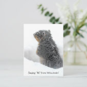 Gezegde Hi van Wisconsin Snowy Squirrel Briefkaart (Staand voorkant)