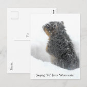 Gezegde Hi van Wisconsin Snowy Squirrel Briefkaart (Voorkant / Achterkant)