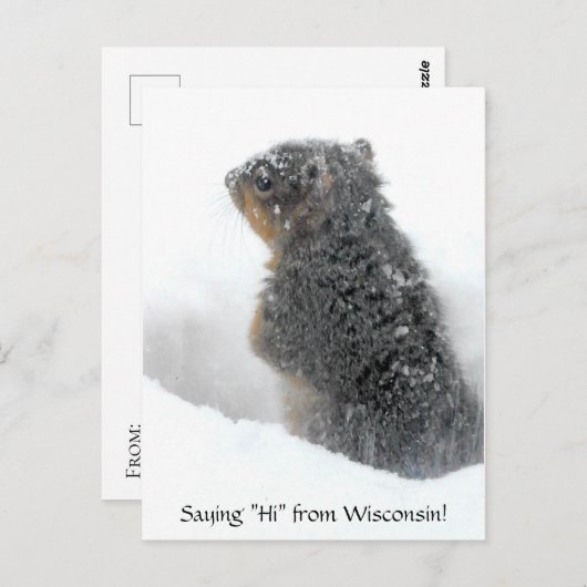 Gezegde Hi van Wisconsin Snowy Squirrel Briefkaart (Voorkant / Achterkant)