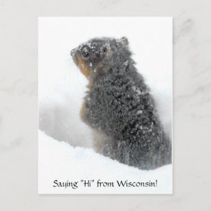 Gezegde Hi van Wisconsin Snowy Squirrel Briefkaart