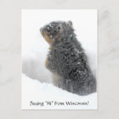 Gezegde Hi van Wisconsin Snowy Squirrel Briefkaart (Voorkant)
