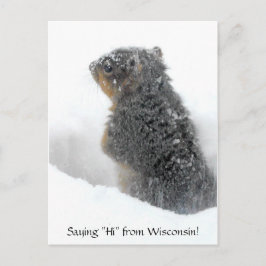 Gezegde Hi van Wisconsin Snowy Squirrel Briefkaart