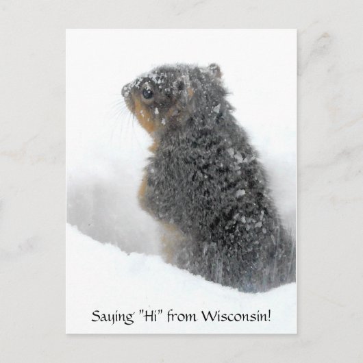 Gezegde Hi van Wisconsin Snowy Squirrel Briefkaart (Voorkant)