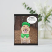 Gezegde Iers Lab Briefkaart (Staand voorkant)