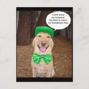 Gezegde Iers Lab Briefkaart