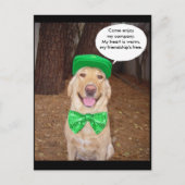 Gezegde Iers Lab Briefkaart (Voorkant)