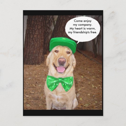 Gezegde Iers Lab Briefkaart (Voorkant)