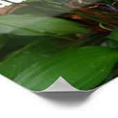 Gezegde poster lachen en dik maken (Hoek)