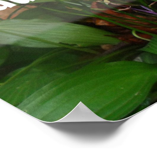 Gezegde poster lachen en dik maken (Hoek)