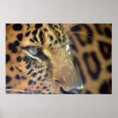 Gezegde Vaarwel... Poster (Voorkant)