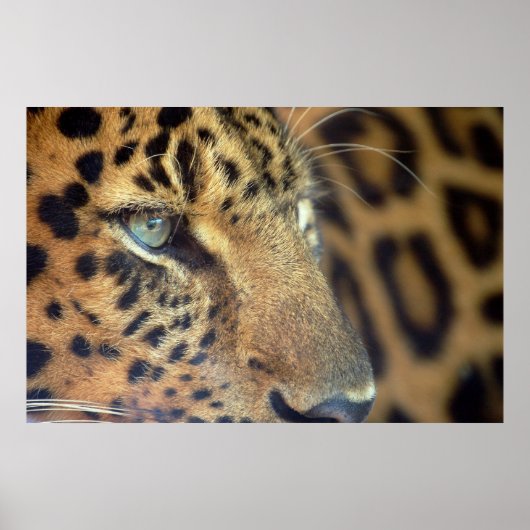 Gezegde Vaarwel... Poster (Voorkant)