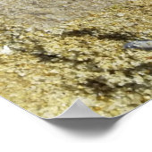 Gezegde van succeswijsheid en poster van foto's (Hoek)