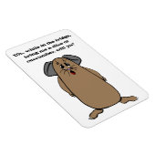 Gezegden van cavia's magneet (Rechterzijde)