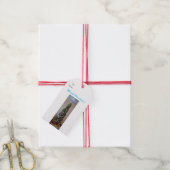 Gezegend & Genade-gevulde Kerst, Gift Labels Cadeaulabel (Met Touw)