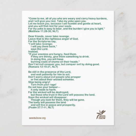 Gezegend is de Meek Flyer (Achterkant)