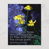 Gezegend is de Meek Flyer (Voorkant)